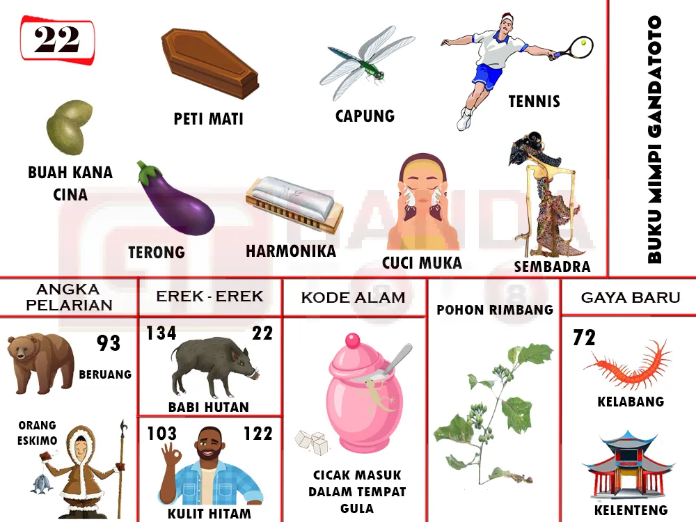 buku mimpi erek erek togel 22